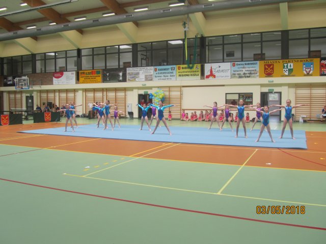 dnio 55
